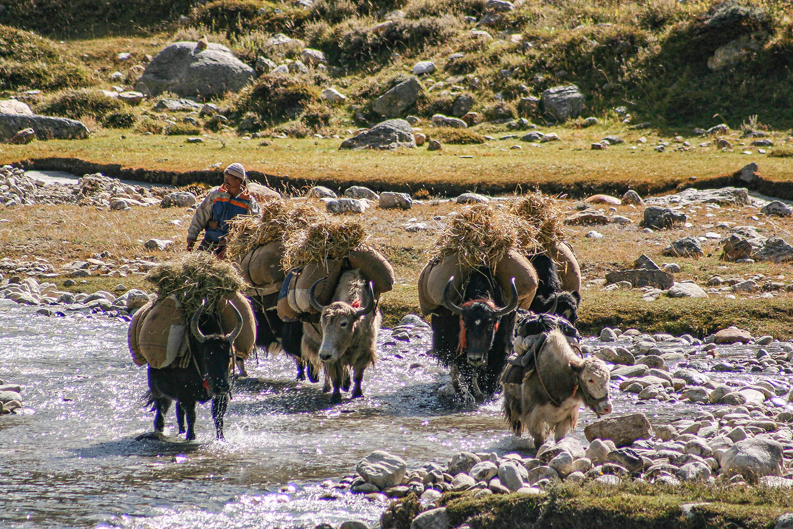 Jumla To Humla Trek