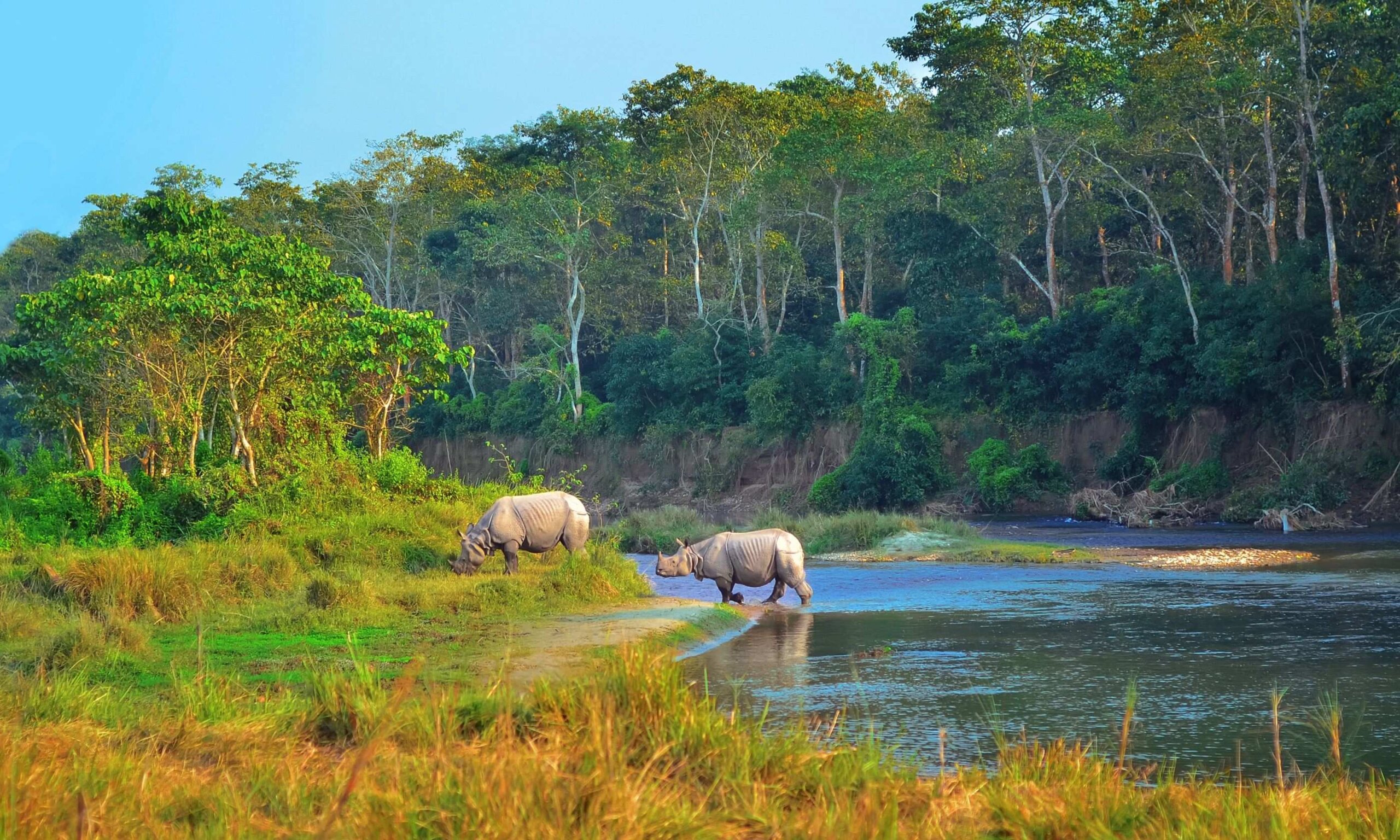 Royal Chitwan National Park