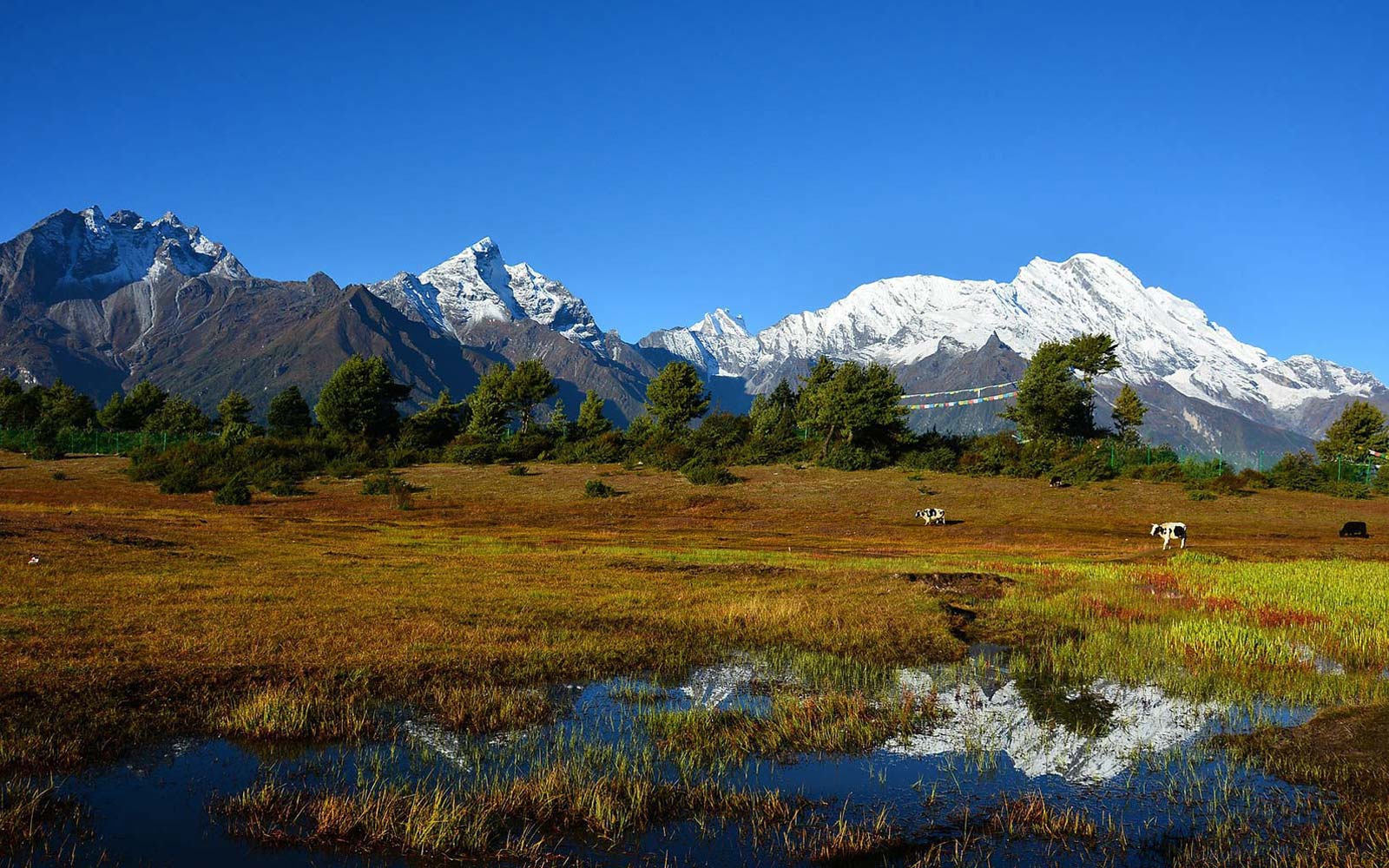 Kharta to Khangshung East face Trek