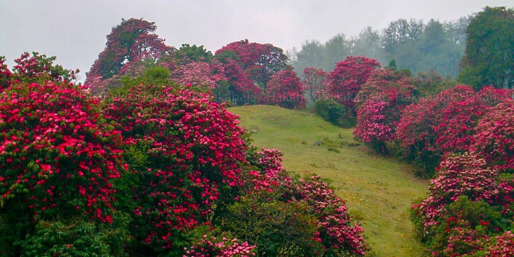 Milke Danda Trek