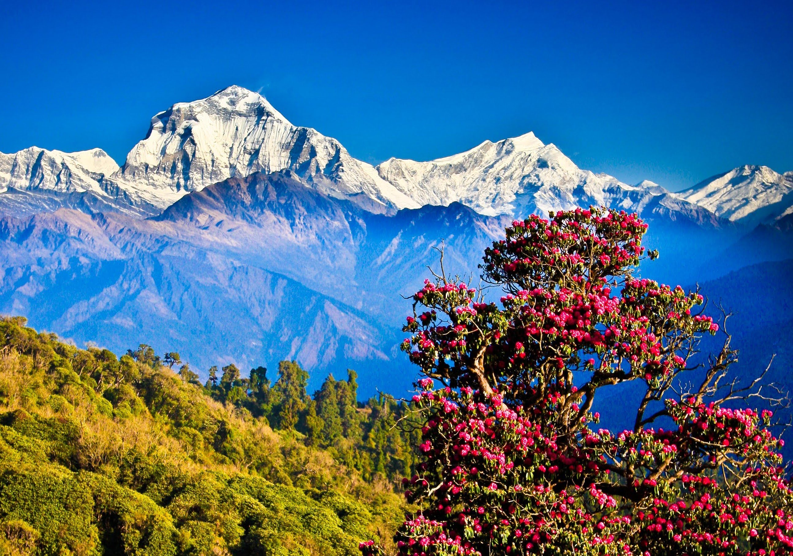 Nepal